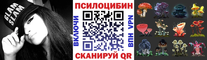 Купить закладки Дмитров Псилоцибиновые грибы GOLDEN TEACHER